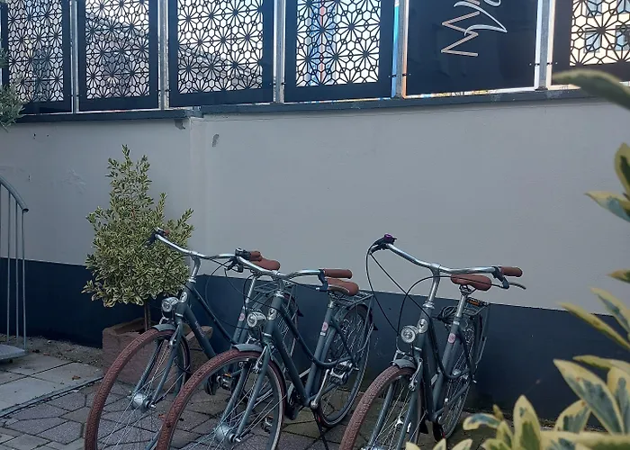 Maison Viktoria 酒店 4*